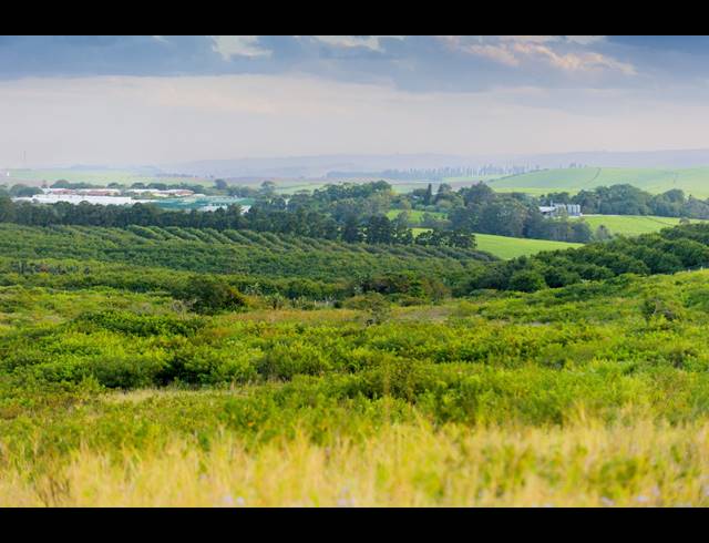 612M² VACANT LAND FOR SALE IN SHEFFIELD MANOR